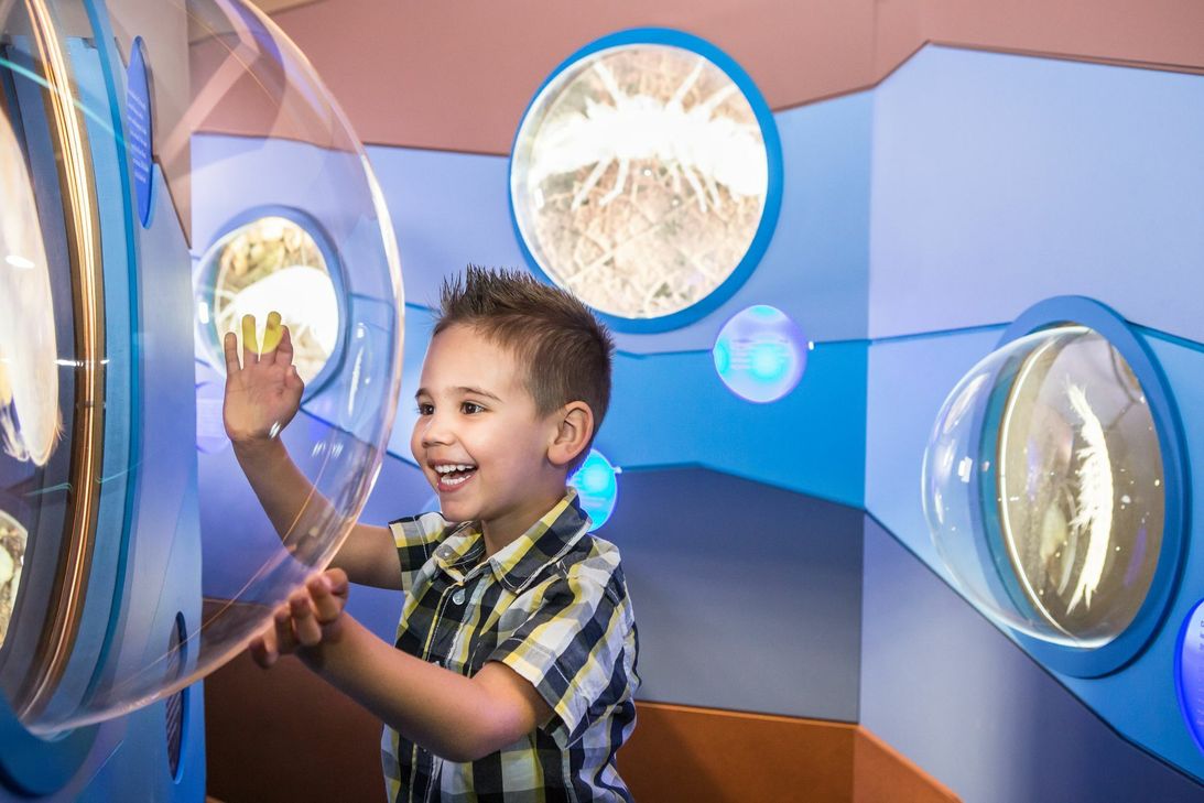 Das neue "WasserWissensWerk" ist ein interaktives Info- und Erlebniszentrum für die ganze Familie.