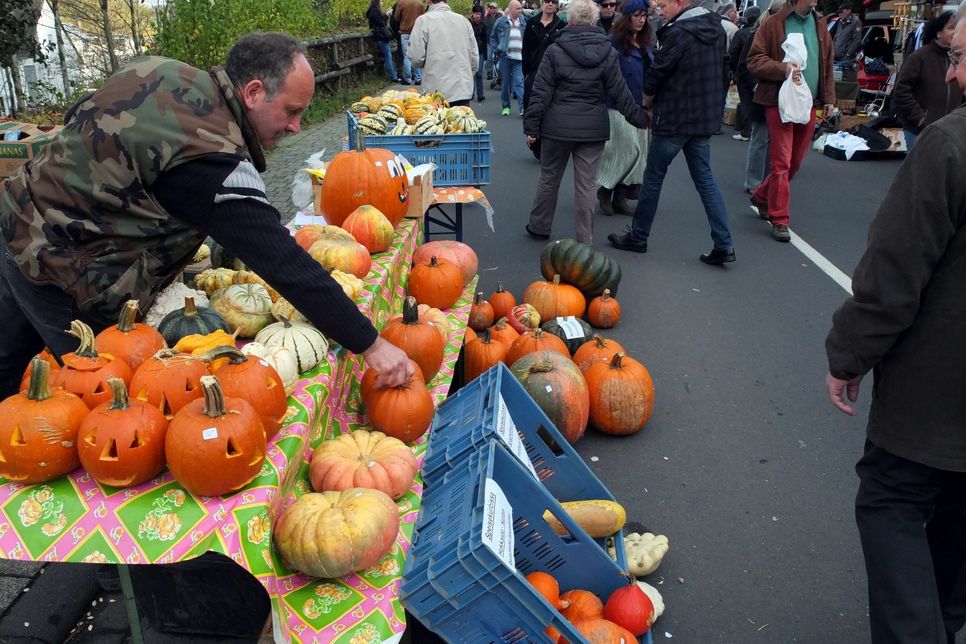 Die namensgebende Herbstfrucht steht am Sonntag beim 12. Kürbismarkt in Jünkerath im Mittelpunkt. Foto: Archiv Th. Wirtz
