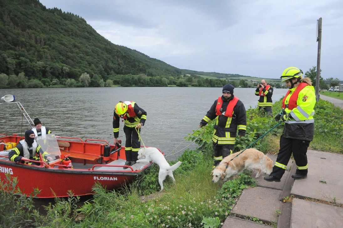 Rettungshunde sind ungewohnte Situationen wie hier bei einer Übung am Mehringer Moselufer gewohnt. Foto. Schmieder