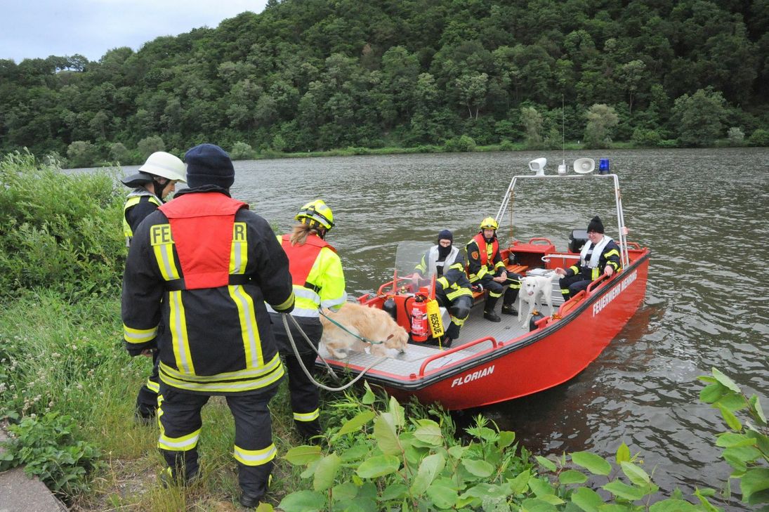 Mit Booten der Feuerwehren Mehring und Klüsserath fahren Aktive einer Rettungshundestaffel zu ihrem Übungssuchgebiet. Foto: Schmieder
