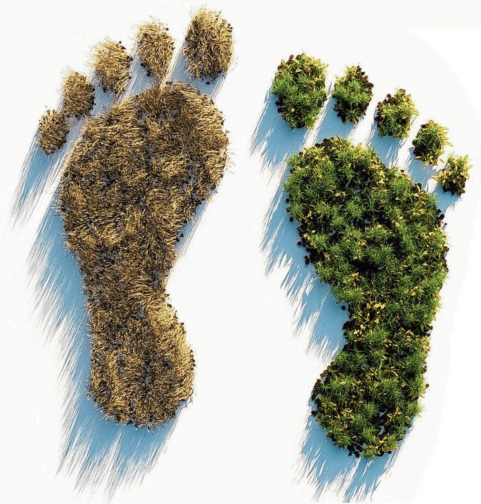 Papier und Nachhaltigkeit sind kein Widerspruch.