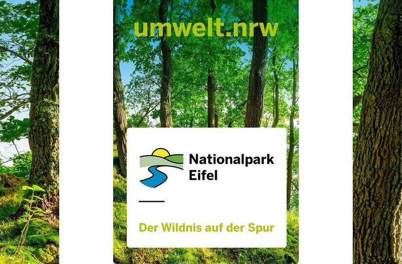Eine neue multimediale Broschüre bietet Informationen und Interaktionen zum Nationalpark Eifel.