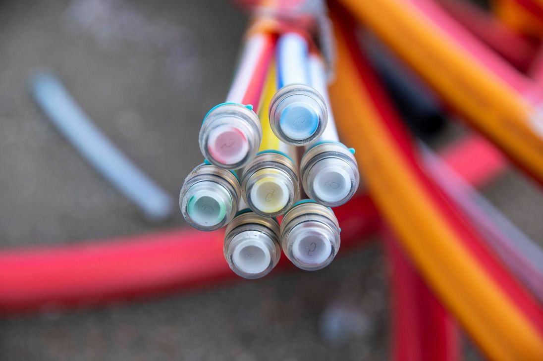 Foto: Symbolbild/ imago images / Future Image