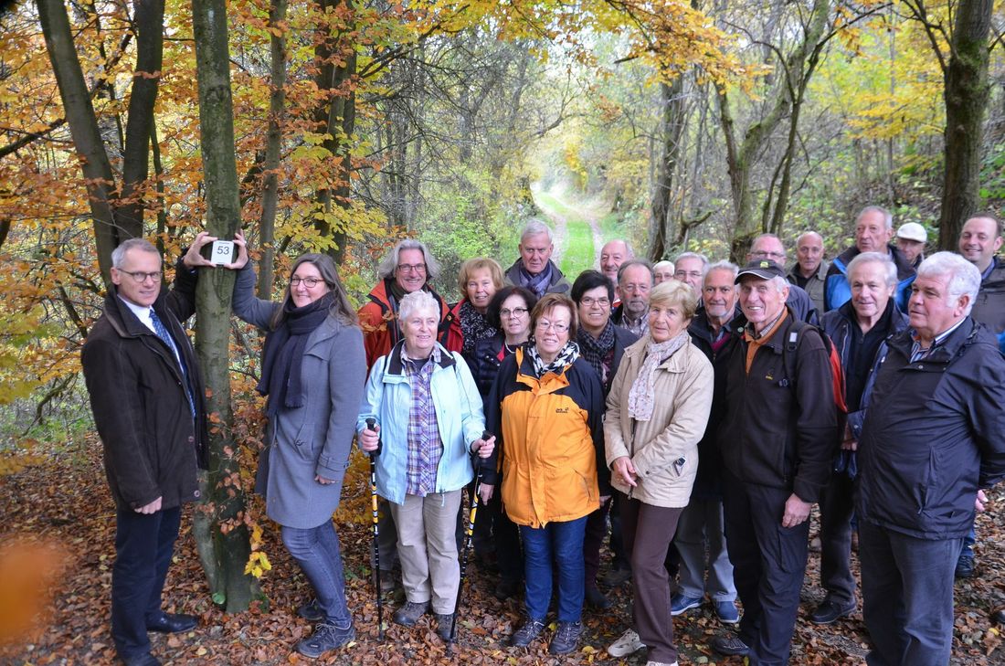 Das Wanderangebot in der Gemeinde Simmerath wurde in enger Zusammenarbeit mit den Eifelvereins-Ortsgruppen und unter Begleitung des Nationalparks Eifel komplett überarbeitet und optimiert.