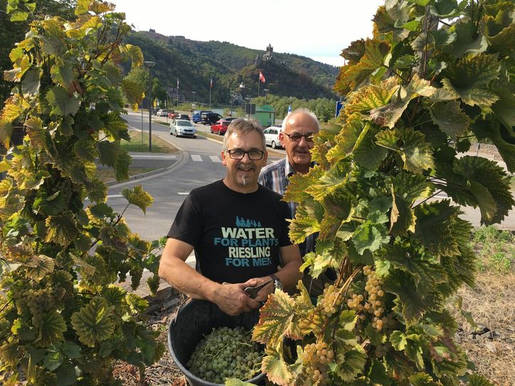 Bei Winzer Werner Gansen aus Cochem Sehl lagern hunderte Liter Rebensaft, der nicht, wie geplant, zu "Kreisel-Wein" verarbeitet werden darf.