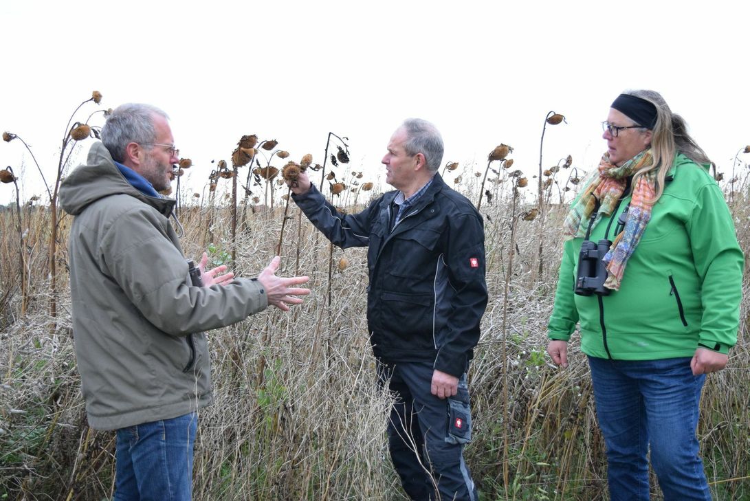 Georg Milz von der Landwirtschaftskammer NRW, Landwirt Klemens Berg und Biologin Julia Zehlius (v.l.) engagieren sich für den Schtz von selten gewordenen Feldvogelarten. Foto: Breuer