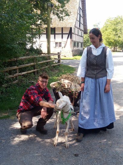Antonia (l.) und Jenny Zimmermann haben Jupp aufgepäppelt und das Ziehen des Karrens beigebracht. Foto: Antonia Zimmermann