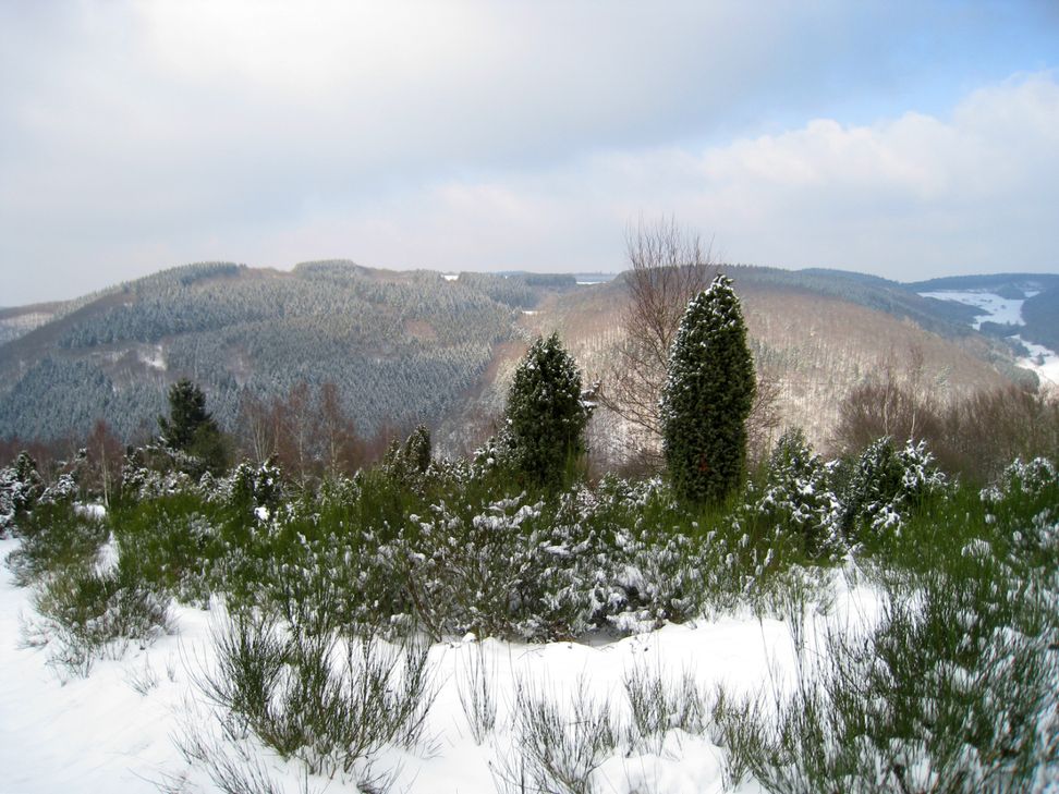 Im Wacholdergebiet bei Beilstein. Foto: Natur Aktiv Erleben
