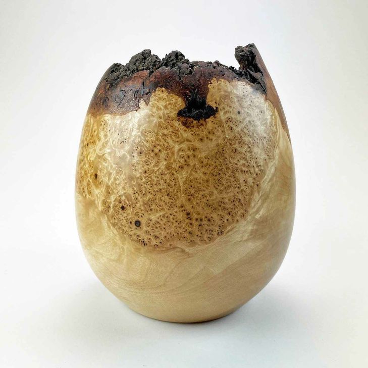 "Birke" - Lutz Brauneck