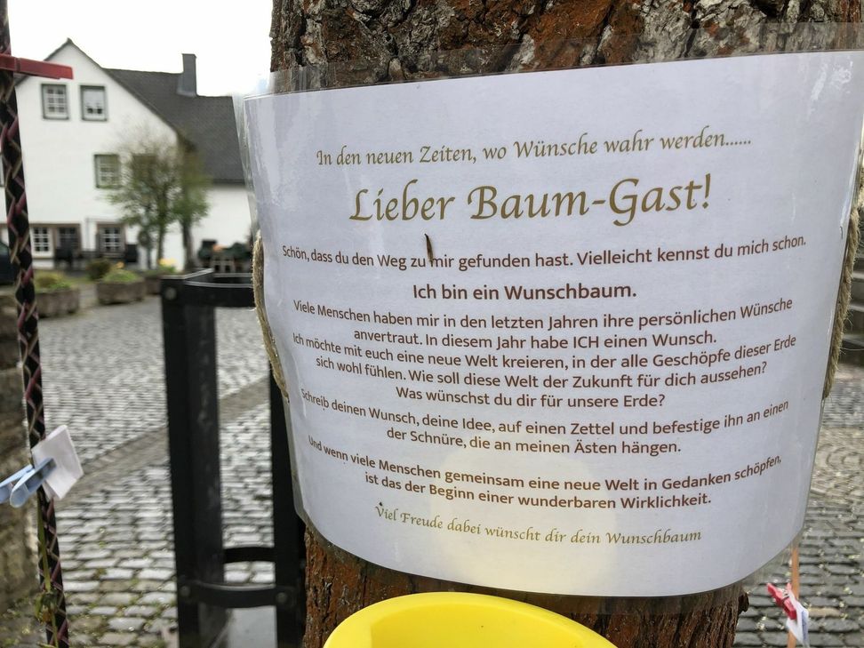 In diesem Jahr fragt der Baum seine Besucher: »Wie sieht die Welt aus, die du dir wünschst?« mn-Foto