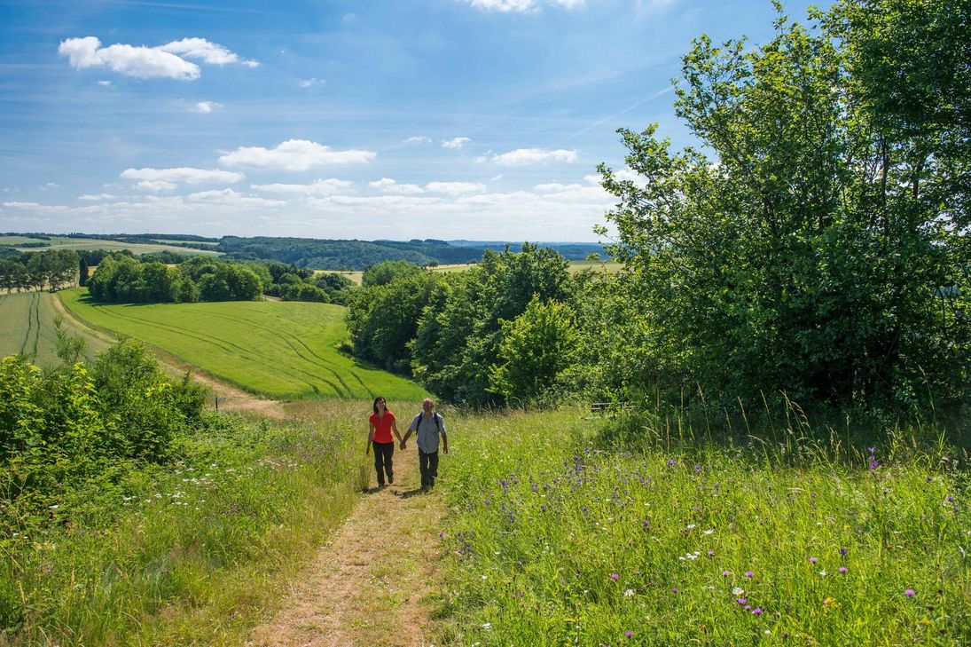 Unter dem Namen „Heimatspuren“ werden zukünftig die Ortswanderwege des GesundLand Vulkaneifel vermarktet. Die Wanderwege sollen Touristen wie Einheimische gleichermaßen ansprechen. Foto: GesundLand Vulkaneifel/K.-P. Kappest