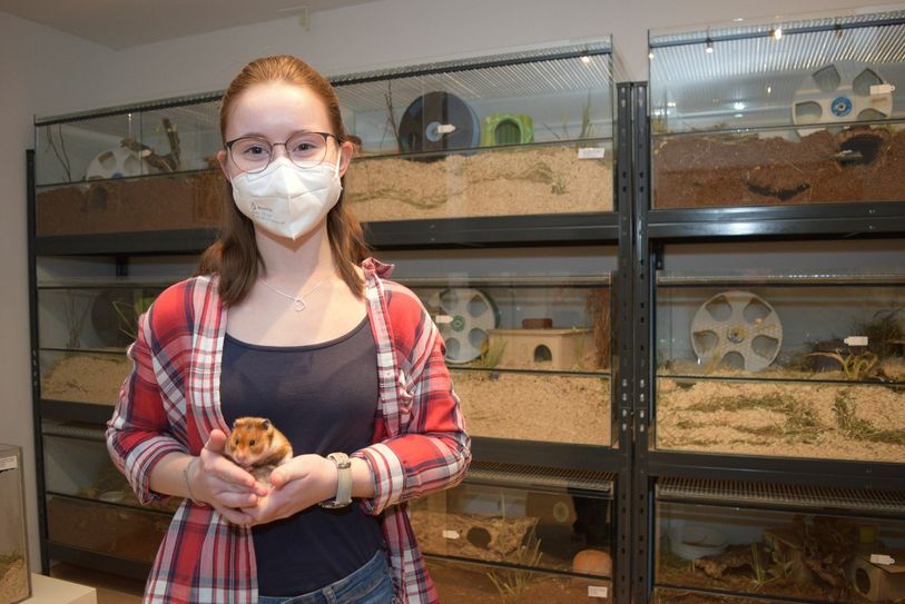 Die 19-Jährige Nele Krasinski aus Euskirchen züchtet Hamster. An erster Stelle stehen für die Schülerin die artgerechte, naturnahe Haltung und die Gesundheit der Zuchttiere. Foto: Scholl