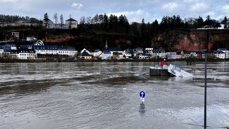 Moselufer in Zurlauben