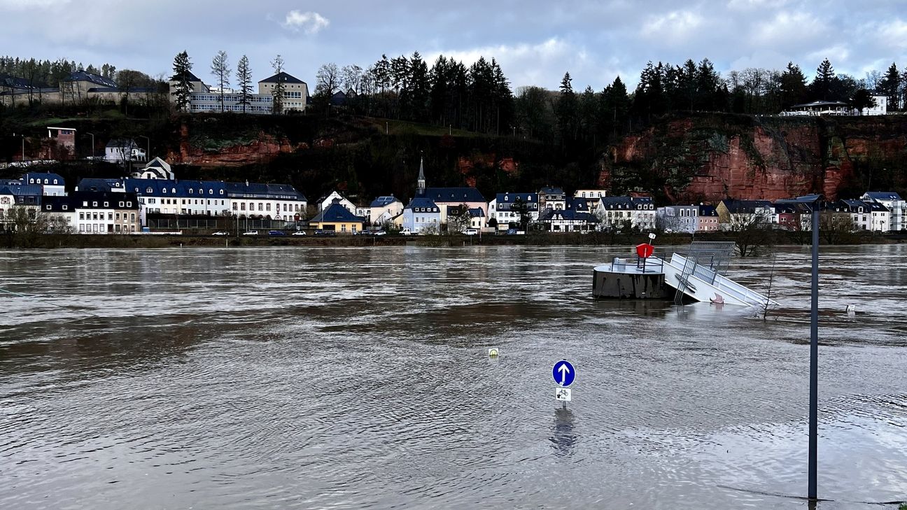 Moselufer in Zurlauben