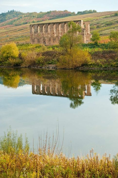 Unter steilen Weinbergen liegt Bremm an der bekanntesten Moselschleife – eine Postkartenidylle mit Blick auf die Klosterruine Stuben. Mehr unter www.bremm-mosel.de. Foto: FF