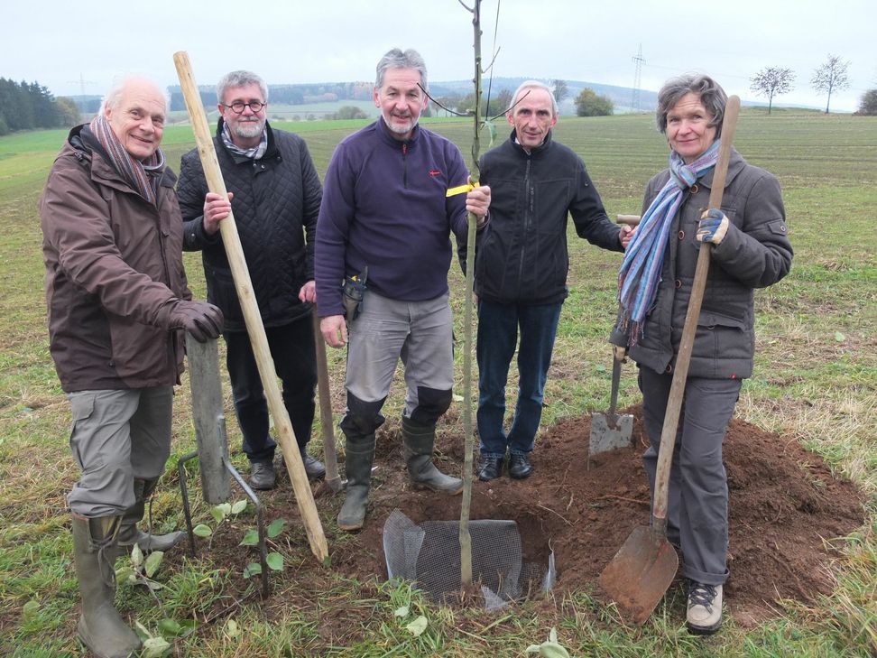 In Gusenburg vollziehen Manfred Weishaar (NABU Region Trier), Thomas Köhl (Gemeinderat Gusenburg), Ludwig Giebel (Ehrenamtlicher), Josef Barthen (Ortsbürgermeister) und Agnes Weiß (Ehrenamtliche) den ersten Spatenstich für die Nachpflanzung von Obstbäumen auf der "Aal Chaussee".  Foto: FF