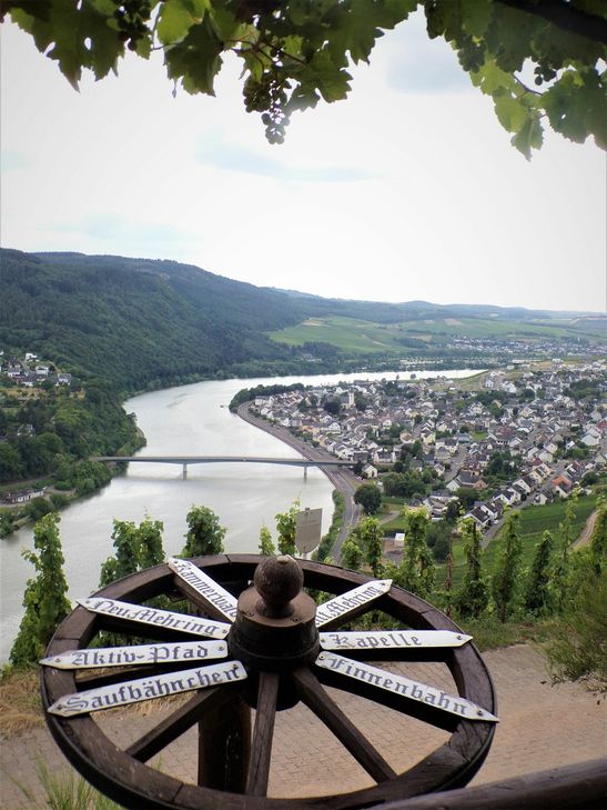 Mit einer gezielten Imagekampagne für die Mosel sollen alle Menschen an der Mosel zu Mosel-Botschaftern werden. Unser Symbolfoto zeigt den Moselabschnitt vom Huxlay-Plateau (bei Mehring) aus betrachtet. Foto: Diederich