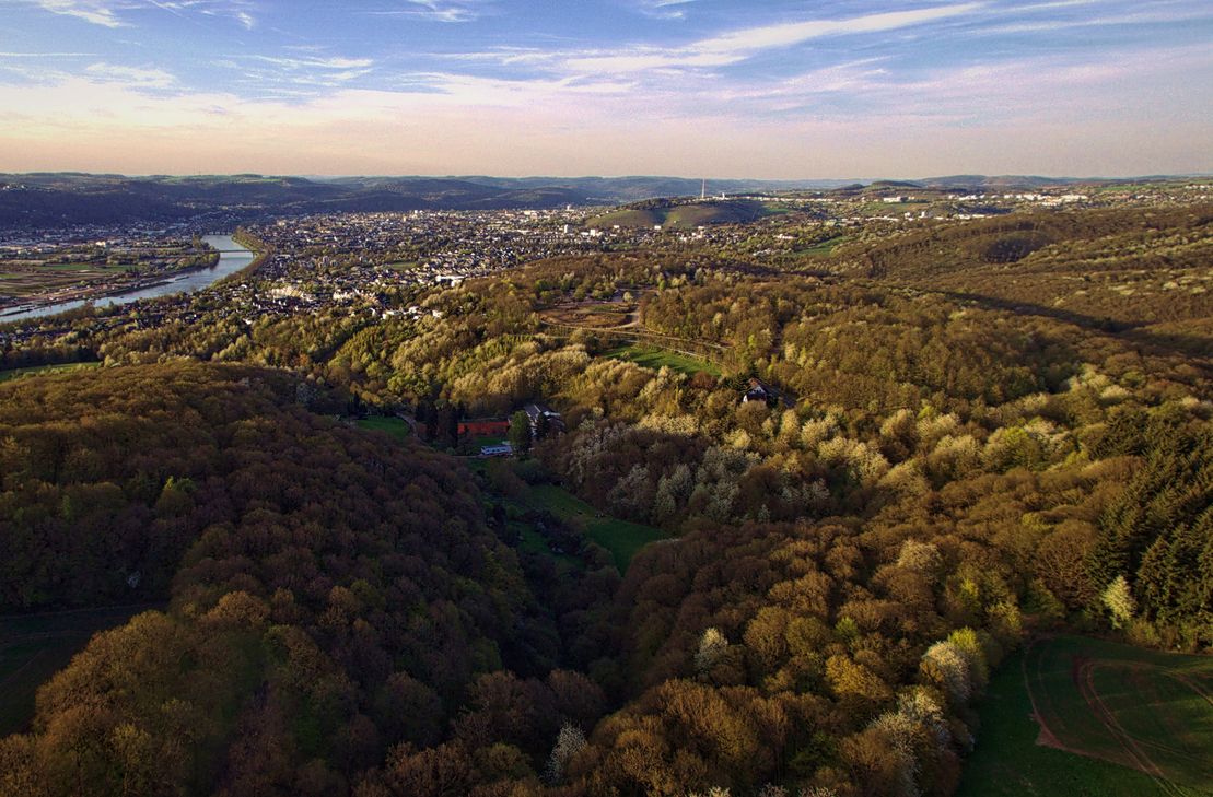 Naturschutzgebiet und FFH Gebiet Mattheiser Wald