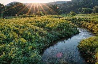 Das Gesundheitsamt der Kreisverwaltung des Eifelkreises warnt vor Baden in den Flüssen der Region.