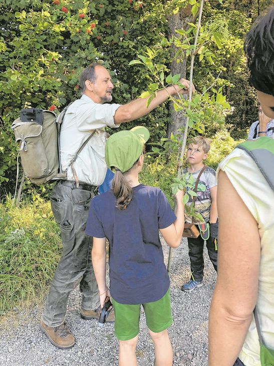 Förster Jörg Melchior macht den Wald für Kinder erlebbar.