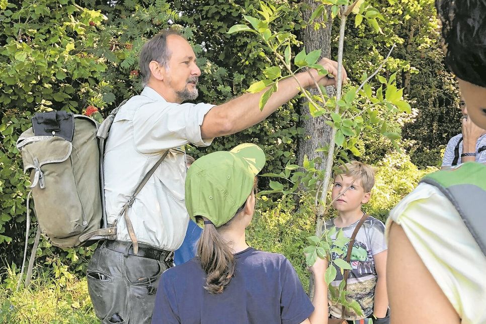 Förster Jörg Melchior macht den Wald für Kinder erlebbar.
