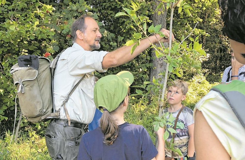 Förster Jörg Melchior macht den Wald für Kinder erlebbar.