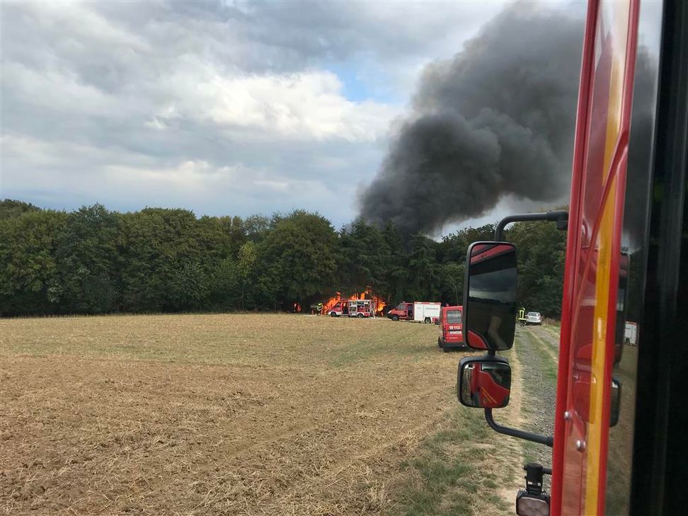 Am Samstag geriet bei Oedingen eine Fläche von 300 Quadratmetern in Brand. (Foto: Polizei)