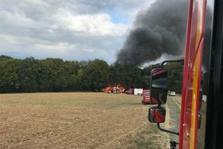 Am Samstag geriet bei Oedingen eine Fläche von 300 Quadratmetern in Brand. (Foto: Polizei)