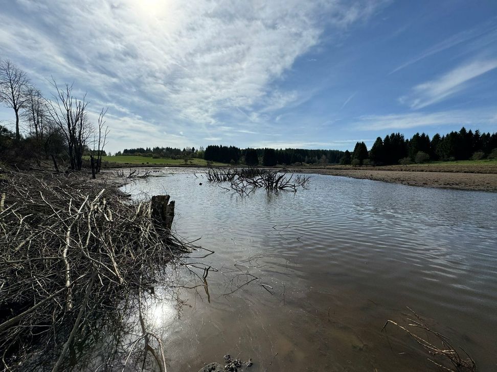 Zerstörtes Biotop bei Hermeskeil: Seit heute (5. April) füllt sich der See schon wieder mit Wasser.