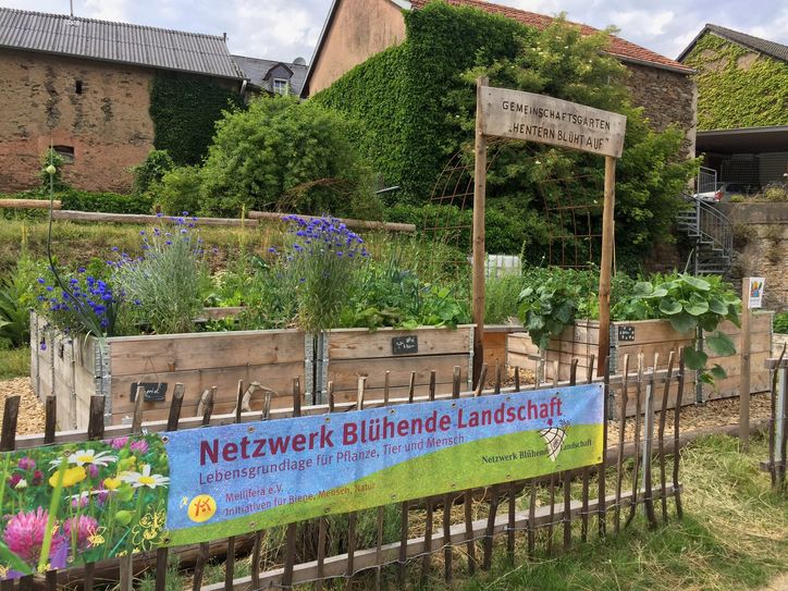 Dorfgemeinschaftsgarten "Hentern blüht auf" 
lädt zum ‚Tag der offenen Gartentür' sowie zur Pflanzentauschbörse und kleinem Flohmarkt ein.