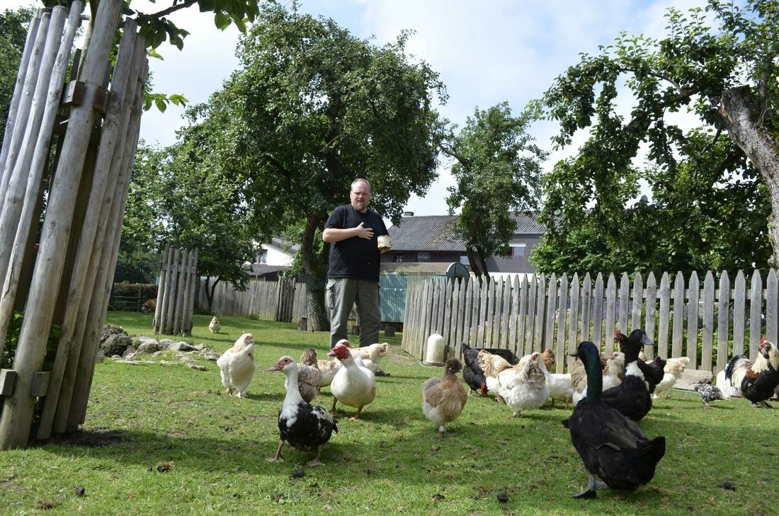 Pommernente und Co. fühlen sich in der Nutztier-Arche wohl.