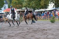 Viele Zuschauer beim Pferdemarkt.