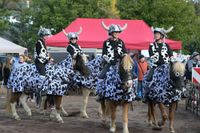 Das Showprogramm beim Pferdemarkt kann sich sehen lassen.