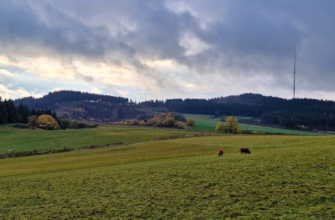 Blick auf den Scharteberg: Der Landkreis Vulkaneifel kritisiert die Genehmigung des Rohstoffabbaus und hält den markanten Vulkanberg weiterhin für schützenswert.