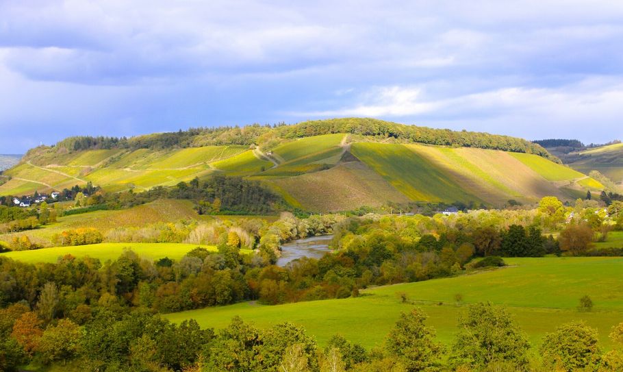Kanzem und Filzen an der Saar