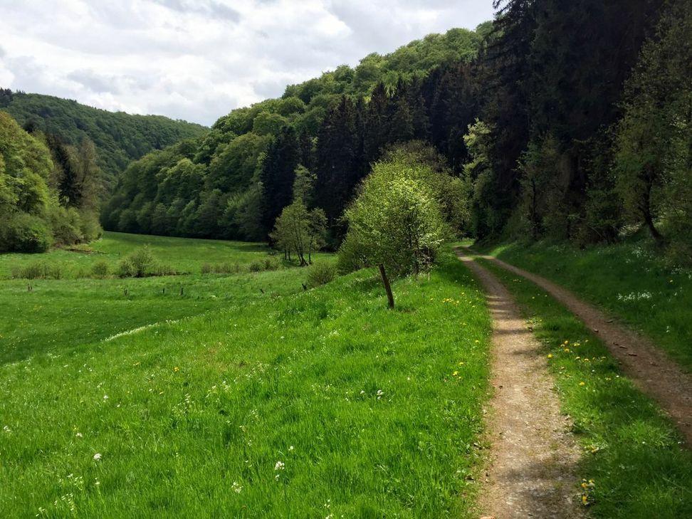 Paradiesisches Nettetal.