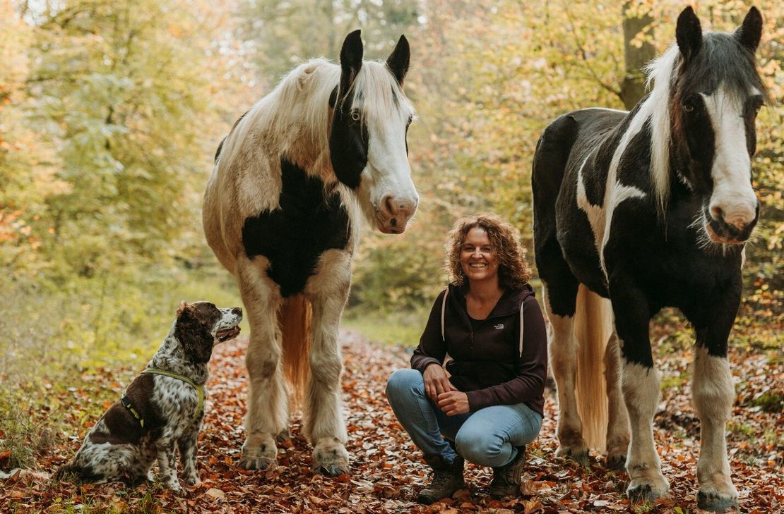 Gerade arbeitet Britta Schönhofen an Programmen, in die sie auch ihre beiden Tinkas miteinbeziehen kann. Fertig ausgebildet sind die Pferde schon.