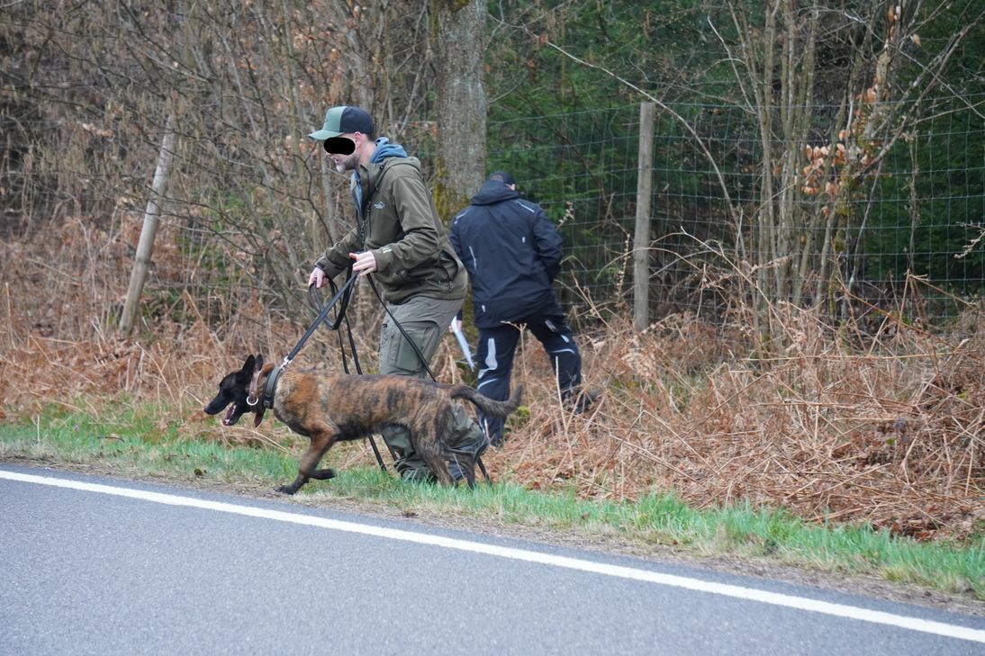 Für die mehrstündige Suche kamen eine Drohne, Suchhunde, spezielle Detektoren sowie zahlreiche Einsatzkräfte zum Einsatz.