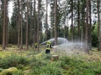 Das Einsatzgebiet war in mehrere Einsatzabschnitte unterteilt worden.