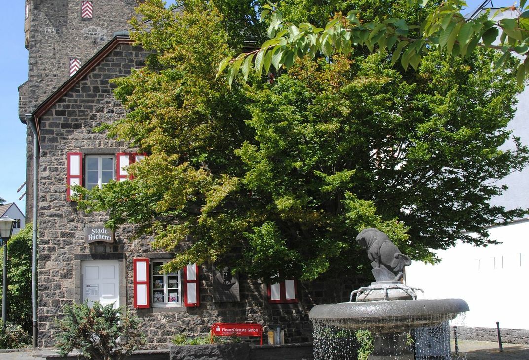 Die Stadtbücherei im Theodore-Dreiser-Haus bietet ab 5. Mai einen Abholservice. Foto: Jasmin Alter/Stadt Mayen