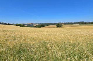 Die Islek-Landschaft am Wanderweg Nr. 34.