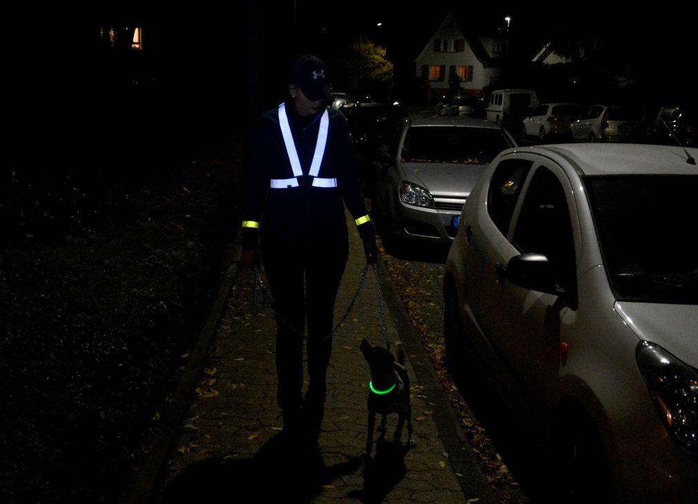 Um die Sicherheit zu erhöhen, sollten Hund und Halter für andere Verkehrsteilnehmer sichtbar sein. Foto: TASSO e.V.