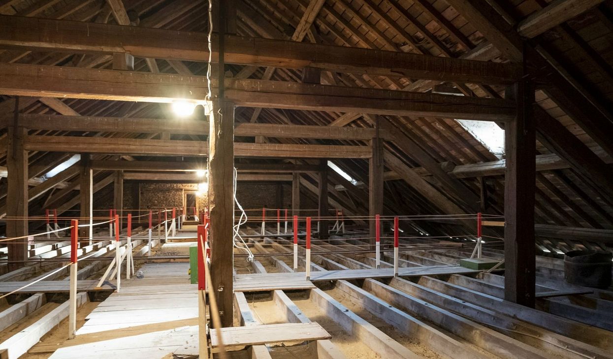 Eigentlich sollte nur das Dach saniert werden. Für die vorbereitenden Analysen wurden Dämmung und Folie weggenommen. Dadurch ist der Wasserschaden erst zutage getreten.   Foto: Ronald Larmann/pp/Agentur ProfiPress