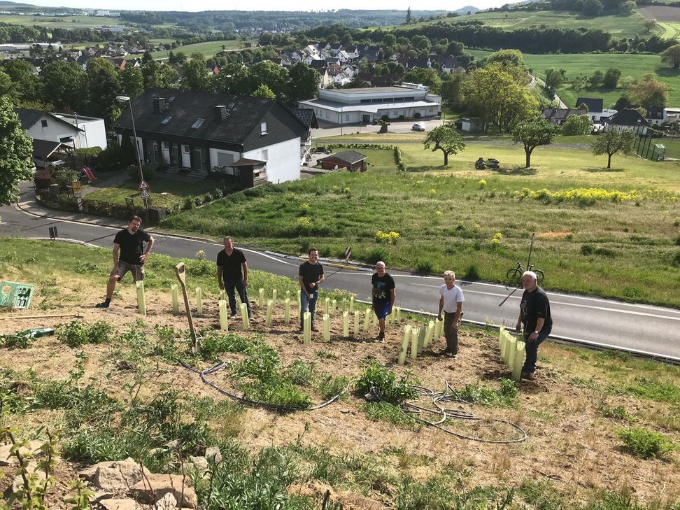 Fleißige "Hobbywinzer" legten den ersten Thürer Weinberg an. Die erste Traubenlese ist 2023 geplant.