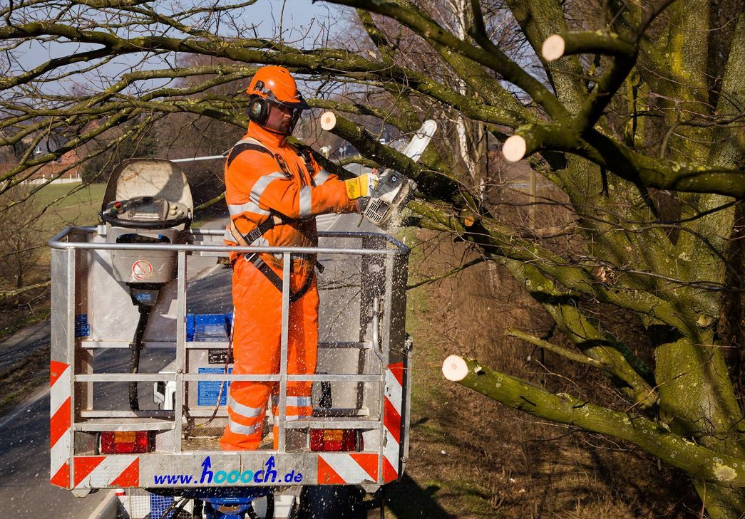 Die L15 wird ab Montag, 25. Januar, im Bereich Kermeter wegen Baumpflegearbeiten voll gesperrt. Bedingt durch die Schneefälle führt die Straßen.NRW-Regionalniederlassung Ville-Eifel umfangreiche Baumpflegearbeiten durch. Foto: Straßen NRW