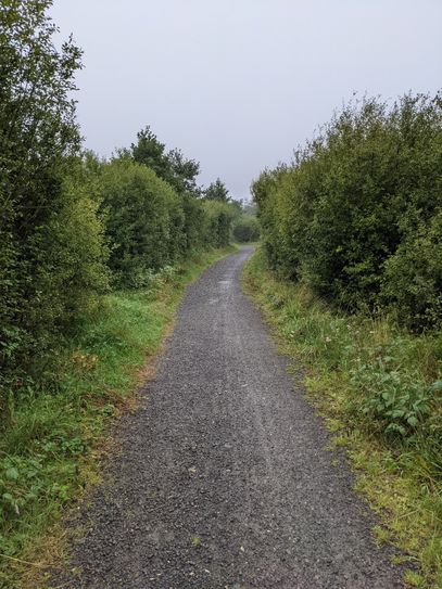 Das beliebte Naturschutzgebiet »Vennhochfläche bei Mützenich« ist etwa fünf Kilometer von der Monschauer Altstadt entfernt und birgt eine Fülle an verschiedenen Tier- und Pflanzenarten sowie spannende Landschaftselemente.