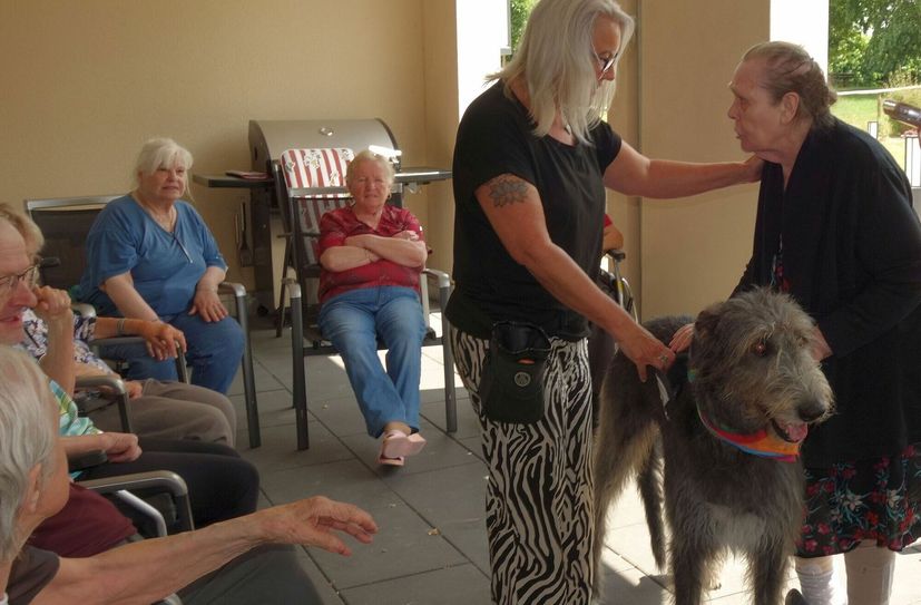 Therapiehund "Fee" zu Gast in der Altenhilfeeinrichtung St. Michael.