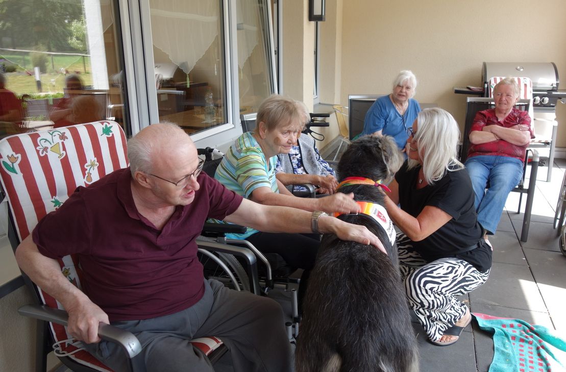 Therapiehund "Fee" zu Gast in der Altenhilfeeinrichtung St. Michael.