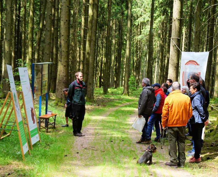 Interessierte Waldbesuchende an den Stationen