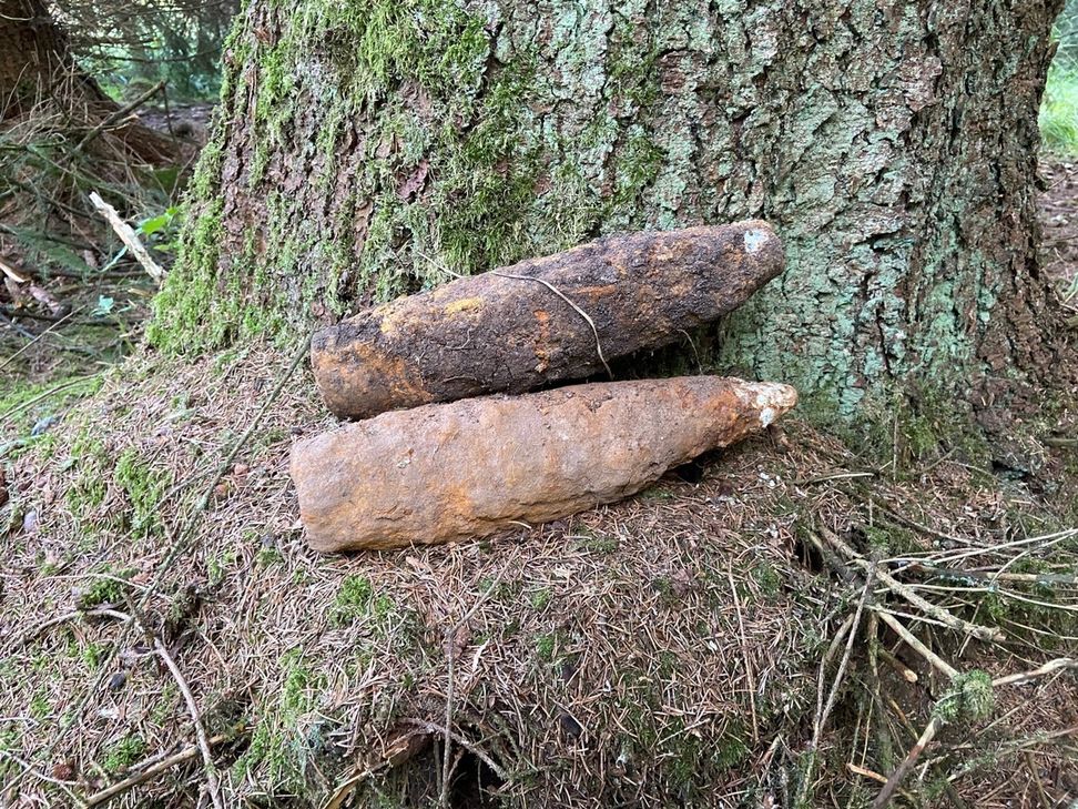 Diese Mörsergranaten entdeckte ein Spaziergänger im Wald.